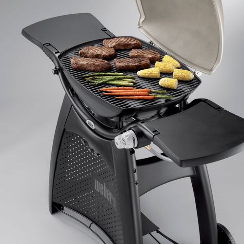 Weber Q 3200 Station